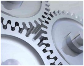 Website Automation
