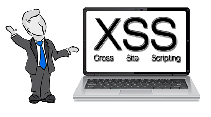 What is Cross Site Scripting
