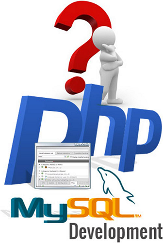 php consultant