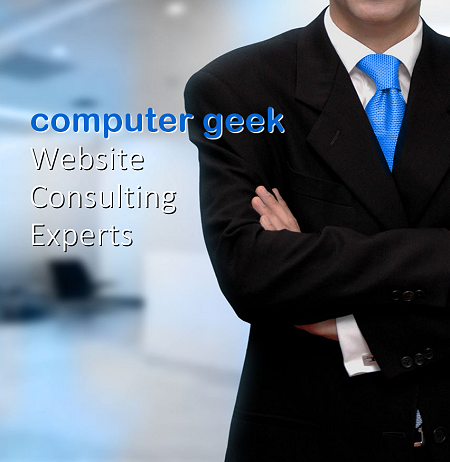 website consultant