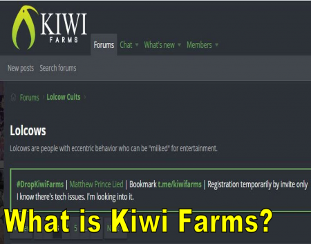 What is Kiwi Farms