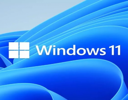 Windows 11 figures are finally rising